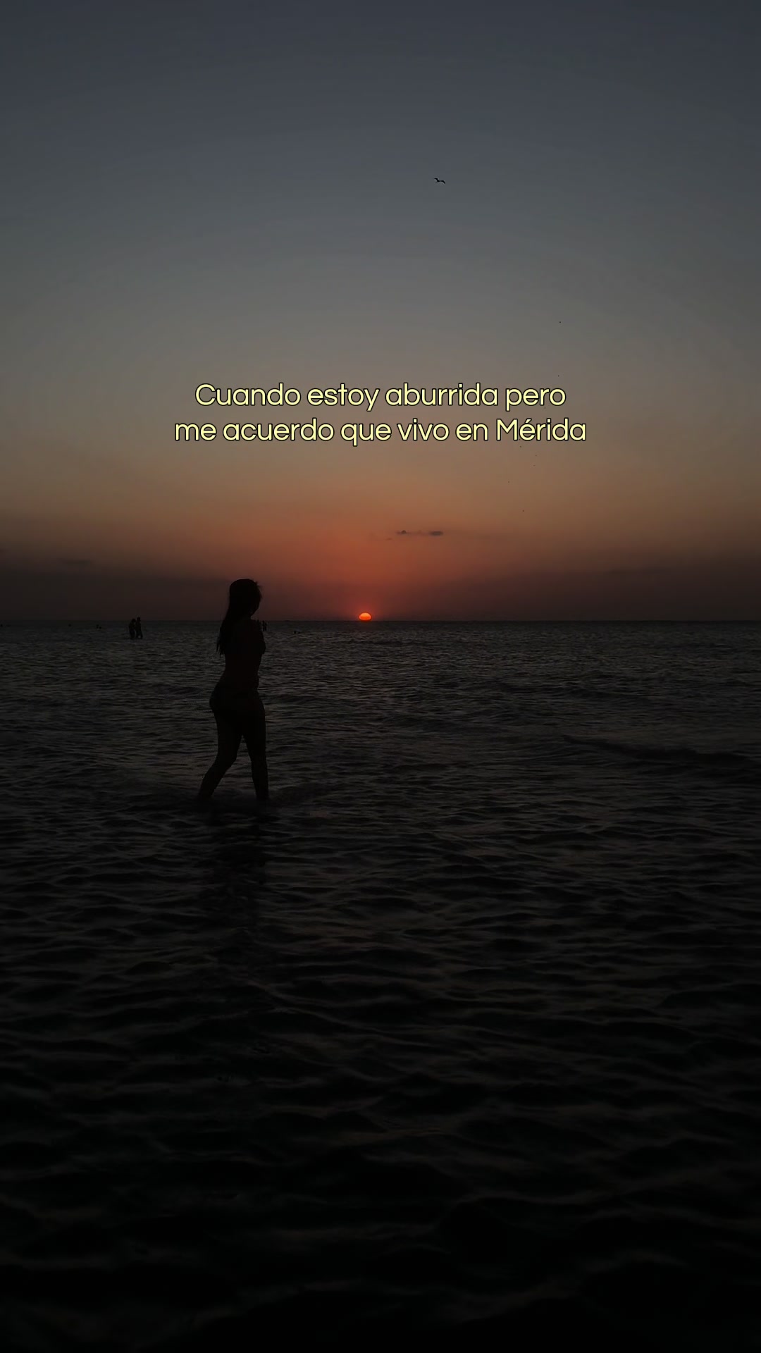 @estefycortes🌸