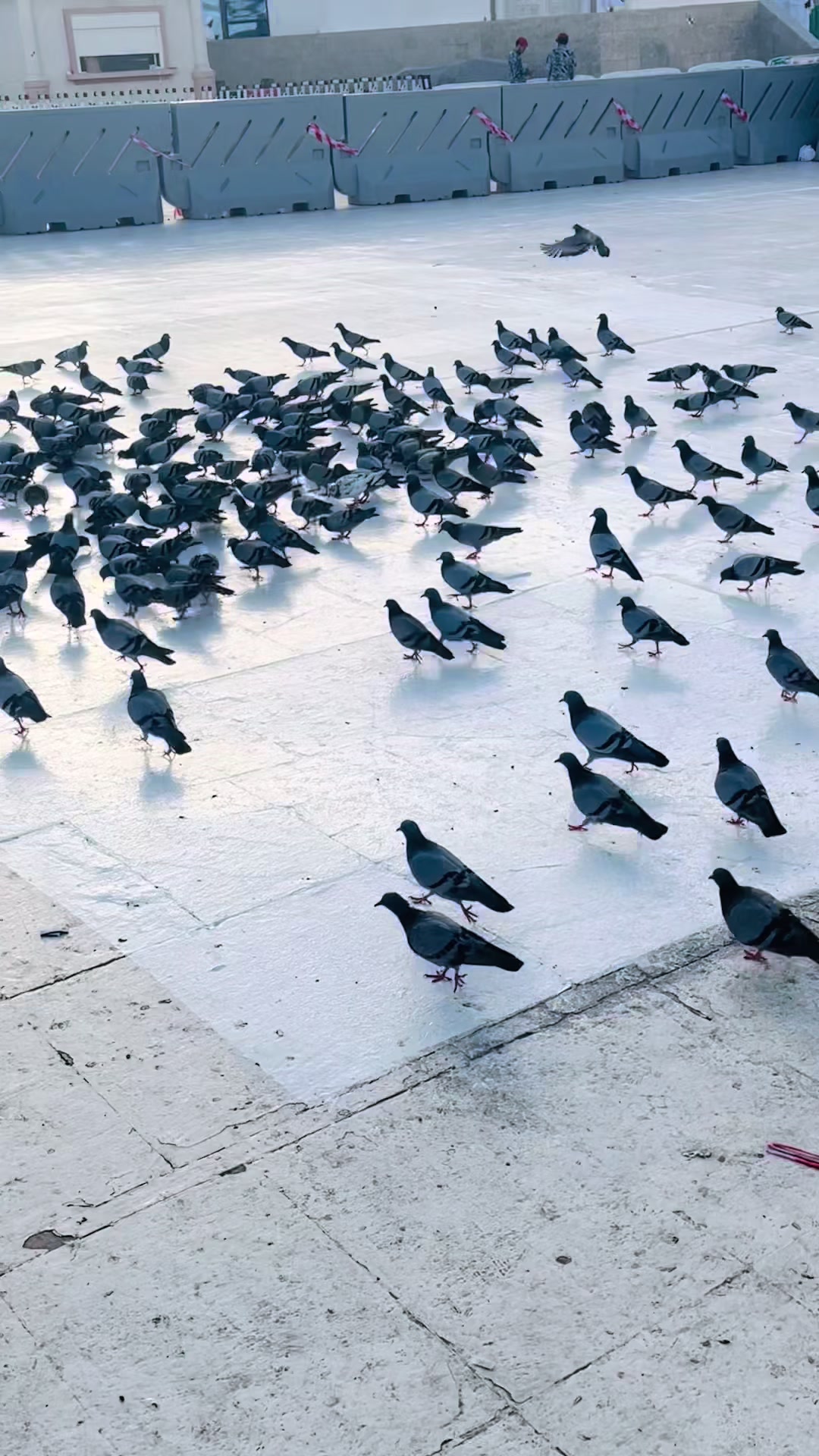 @الحرم مكة 🕋