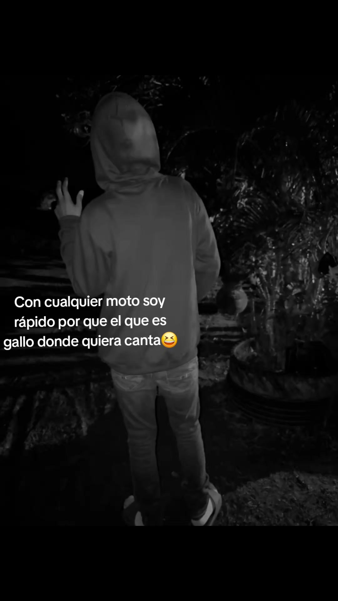 @A.A.C🦈
