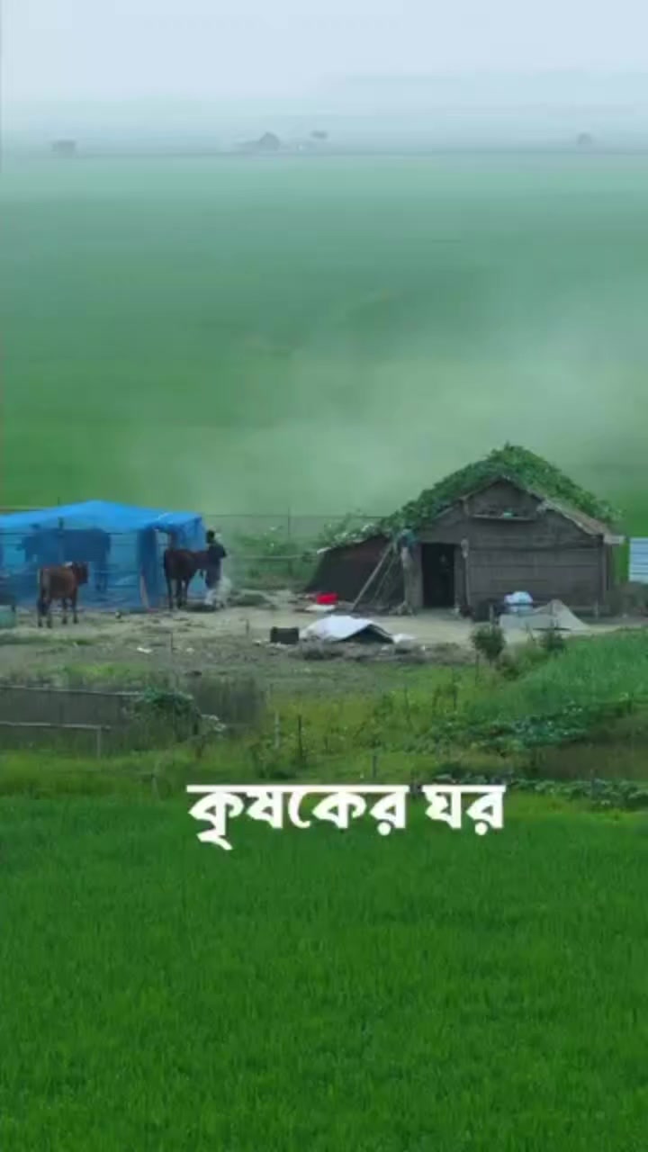 @Sobuj Chowdhory🇧🇩🇧🇷🇸🇦