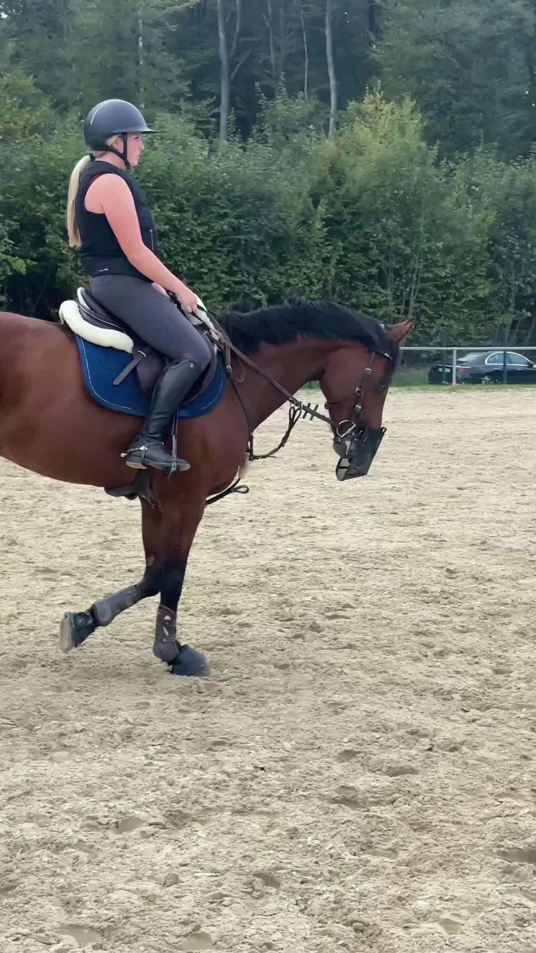 @callitoos.horselife
