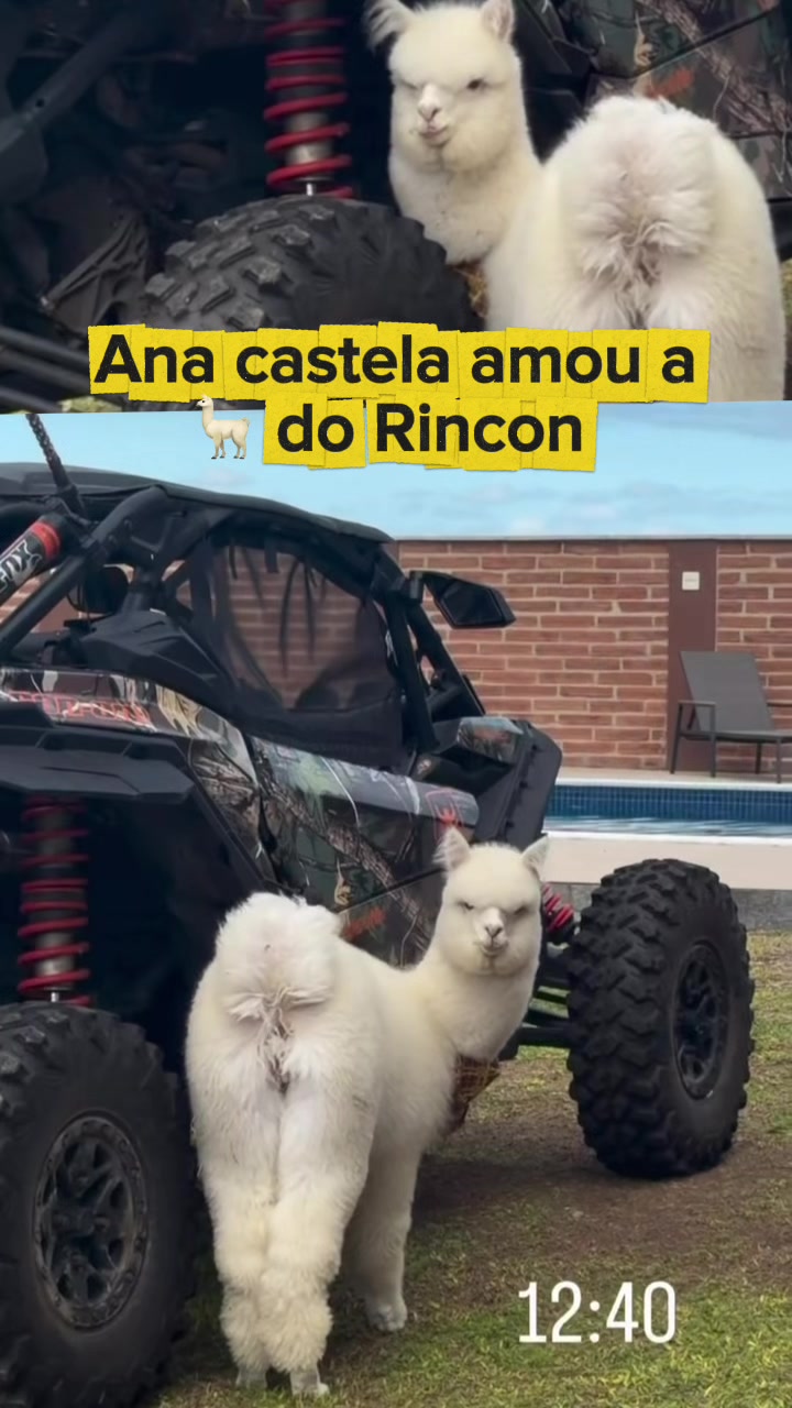 @Rcn061.cortesz