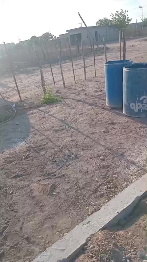 @La cotizada 1