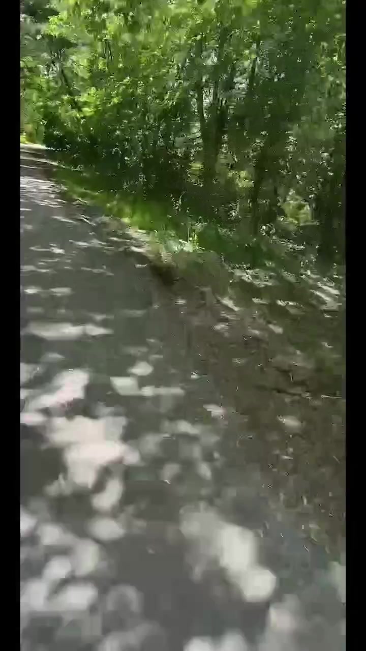 @Rom&aacute;ntico504🇭🇳🇨🇦🎸✋️&spades;️