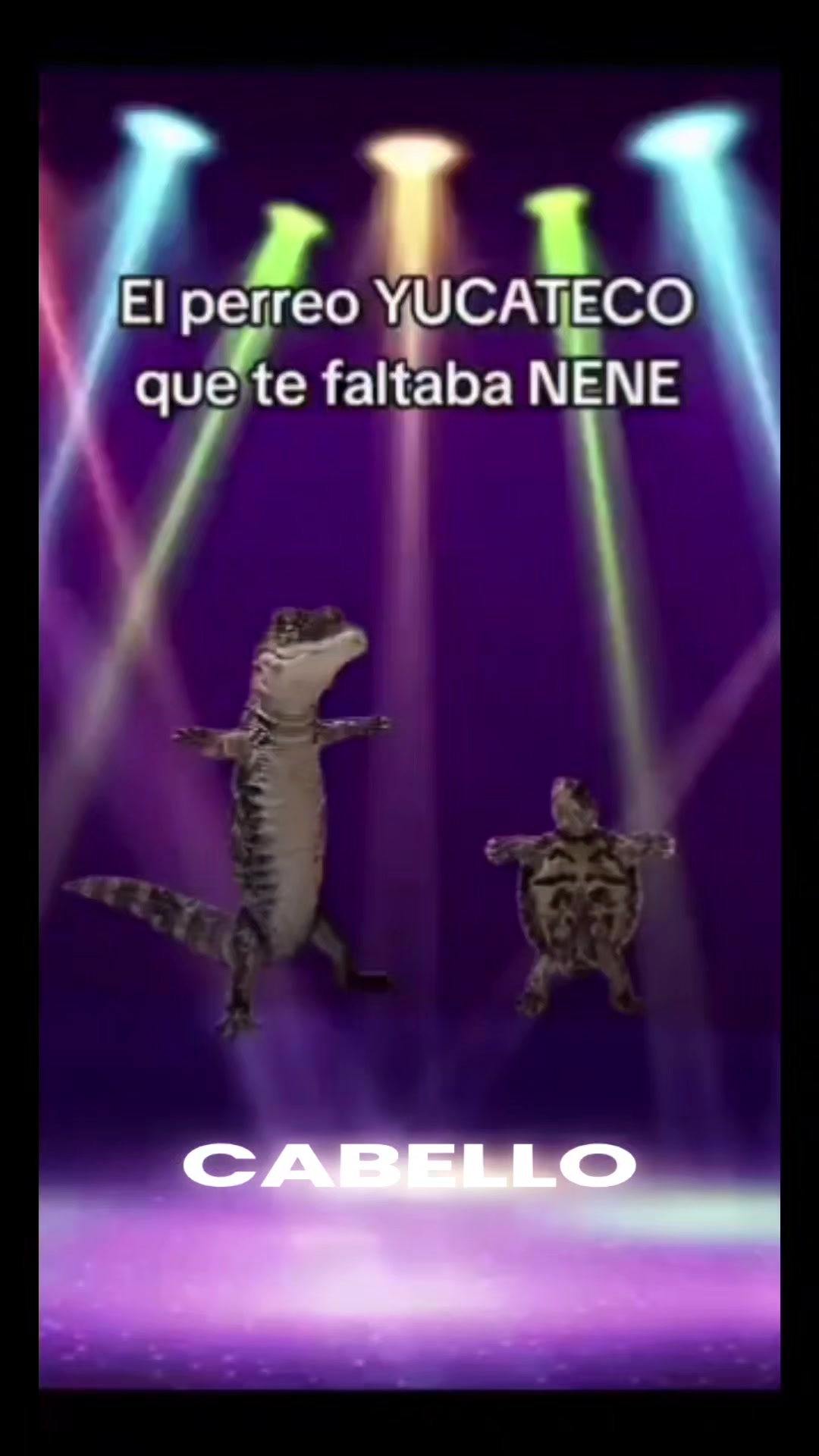 @🌺 LA SU DE TABASCO 🌺 💞