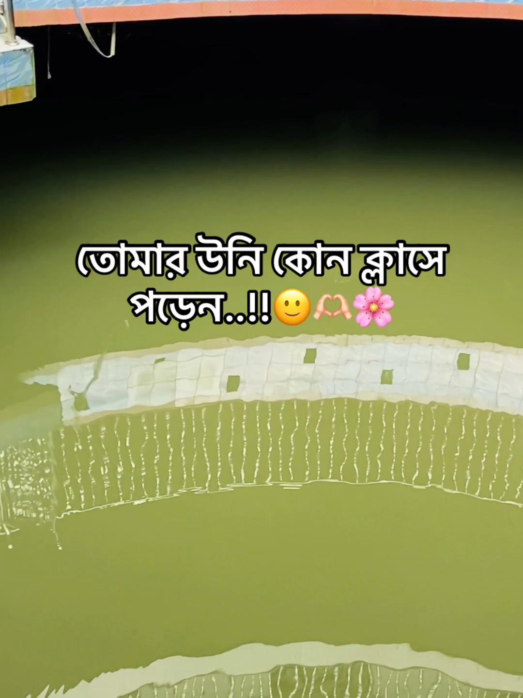 @টিক~টিকি