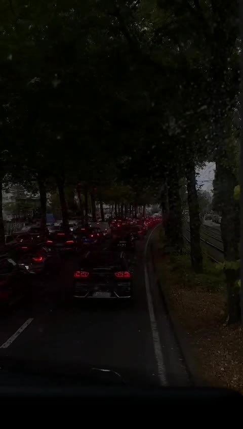 @Tamila BE🇧🇪