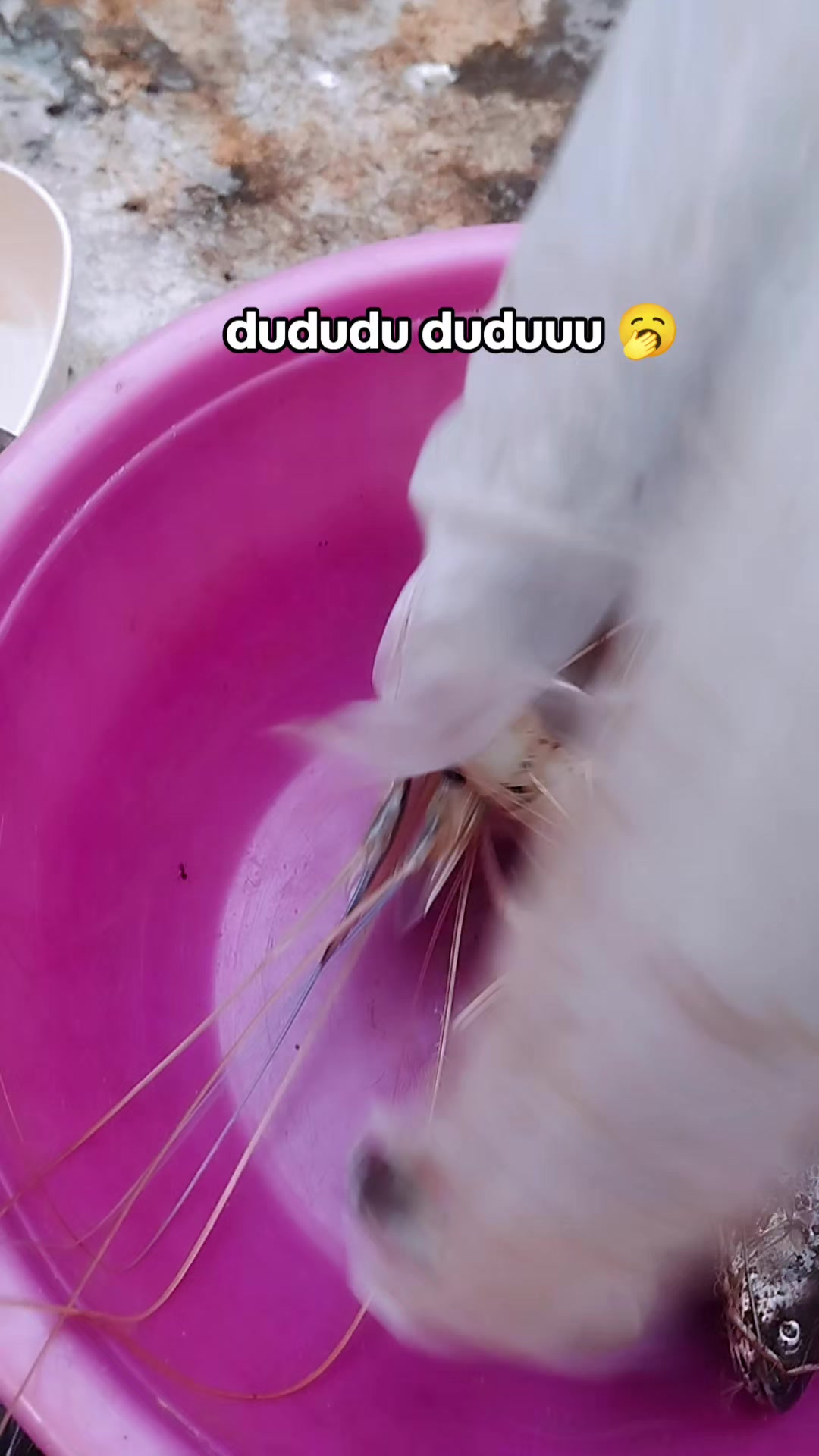 @aruna ๐น
