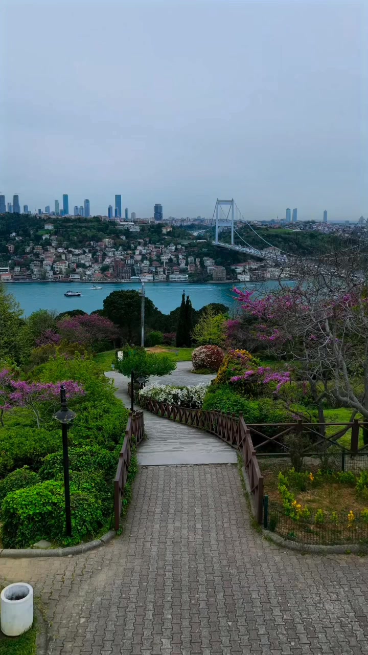 @ɯǝlɐnʞolı