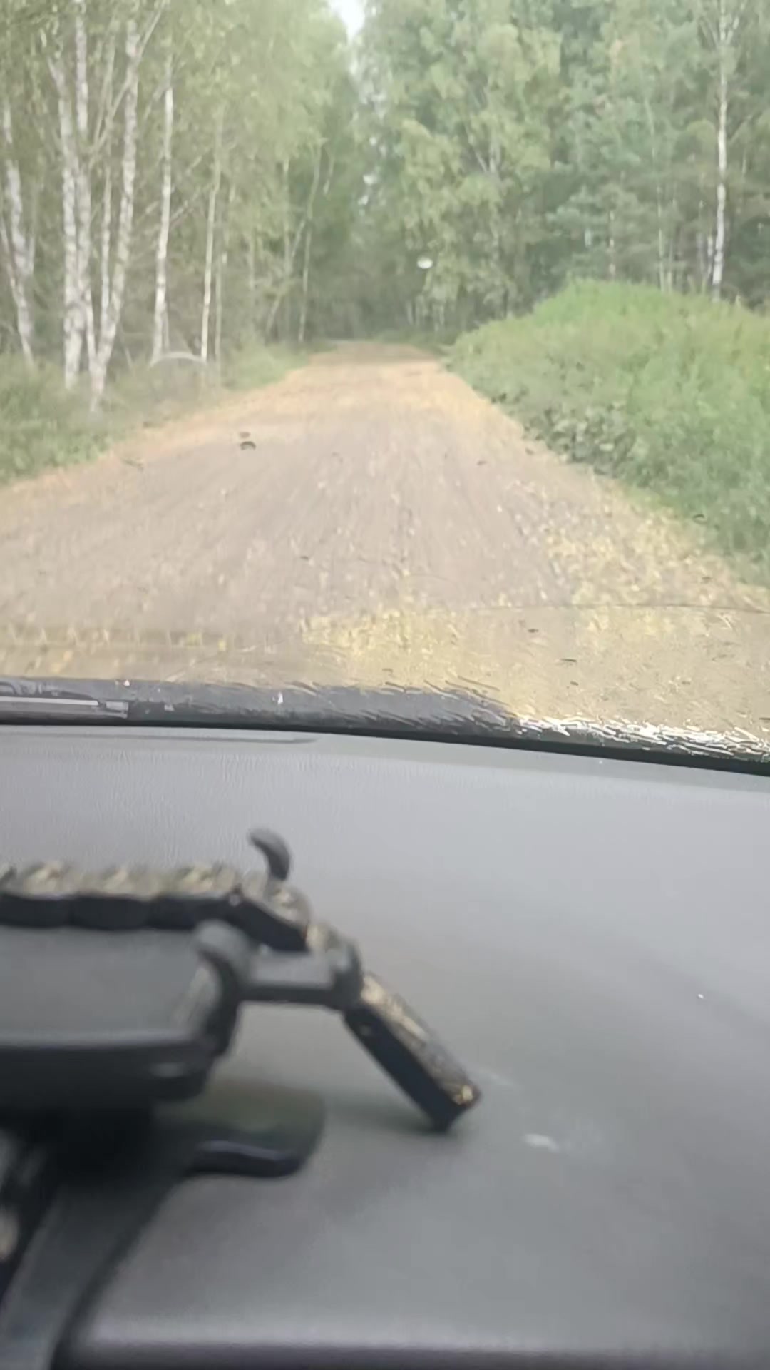 @😎З-Сибирь✌✊