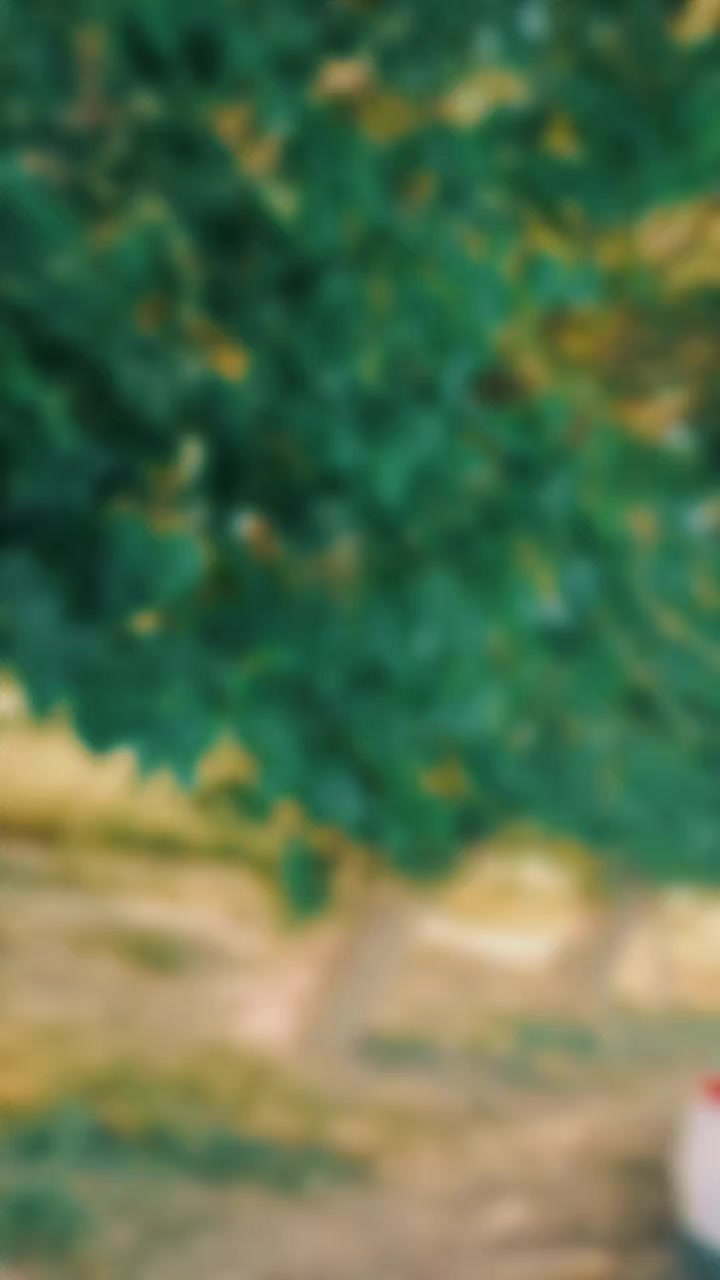 @🌿🌺🥀U۔K.NASIR🌿🌺🥀