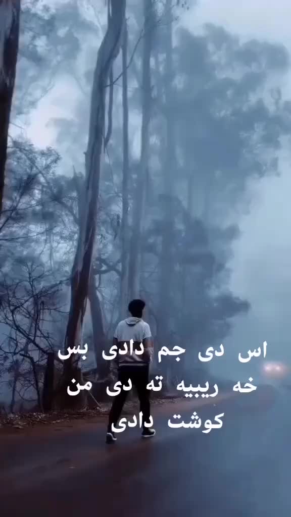 @dle brindar💔