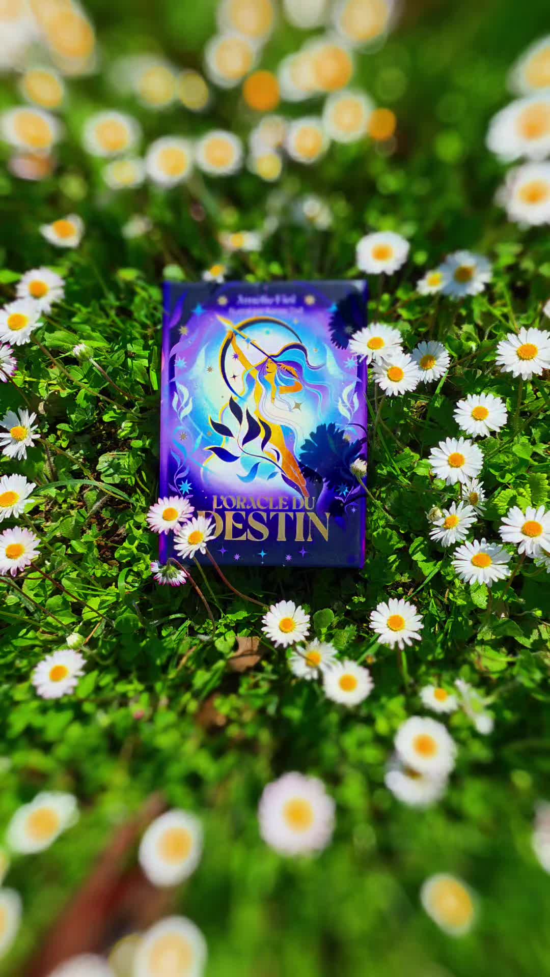 @Lutin_magique