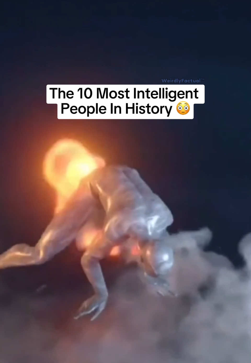 @WeirdlyFactual&trade;