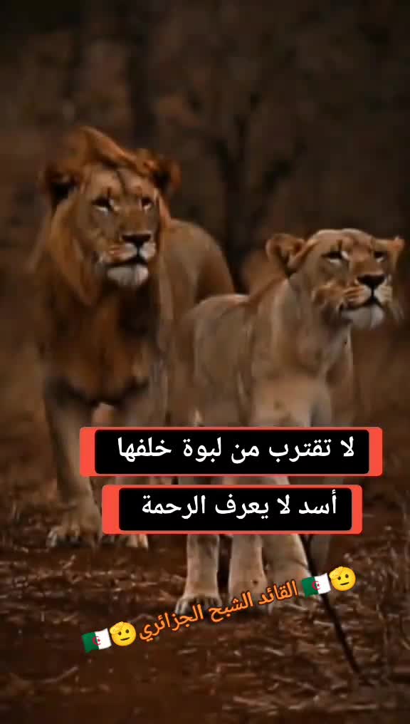 @القائد الشبح الجزائري 🇩🇿🥷🫡