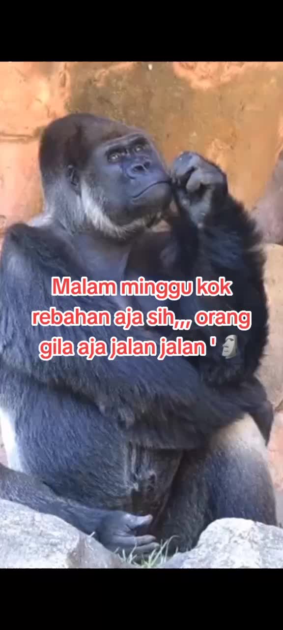 @Chris br silitonga