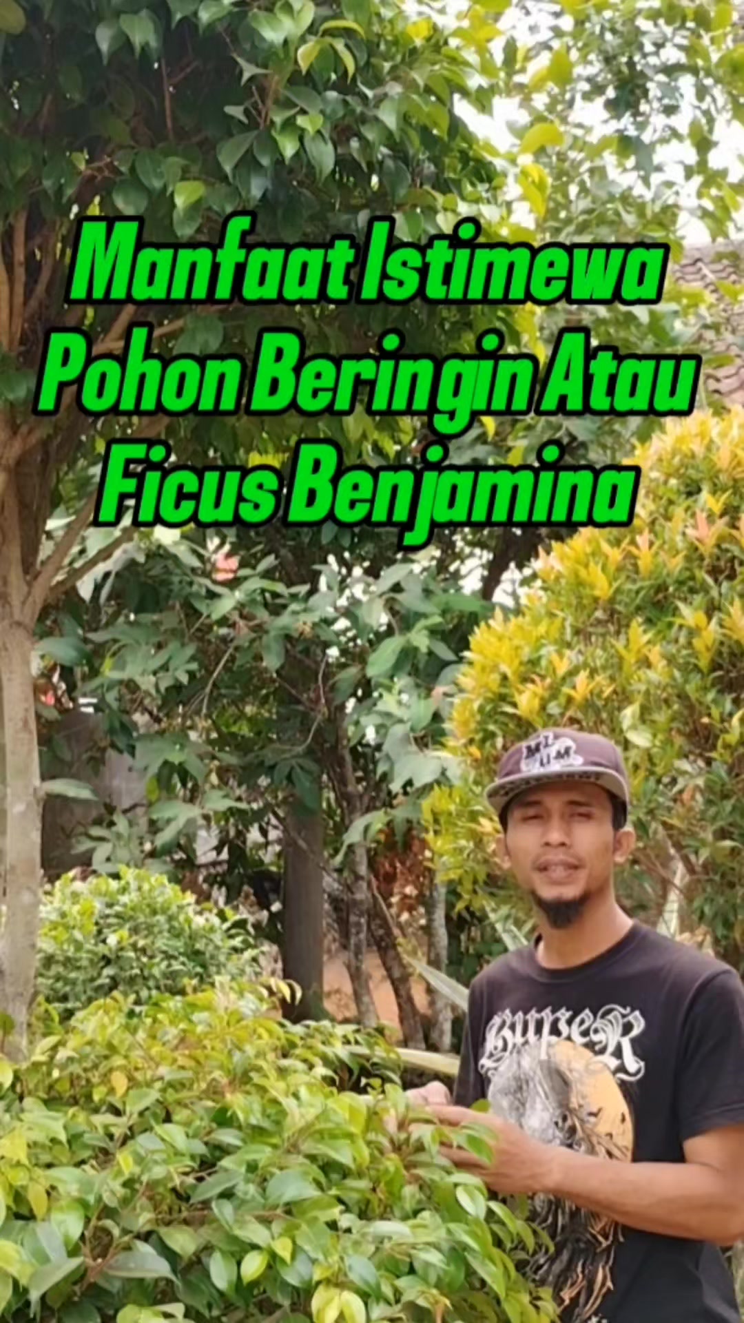 @Bukit Farming