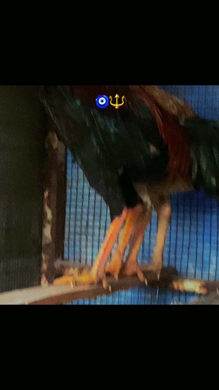 @Gürkan