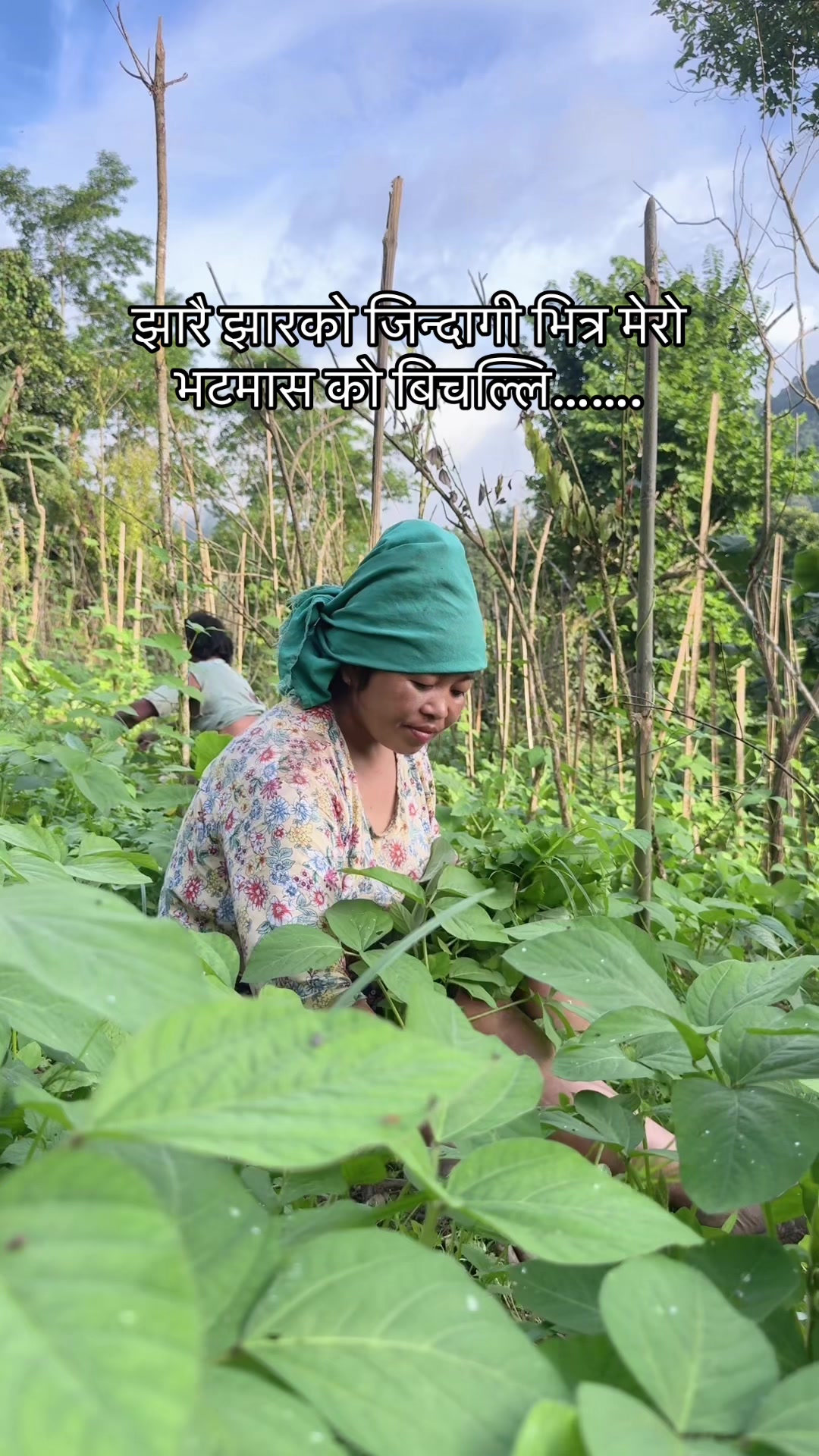 @सुम्निमा राई