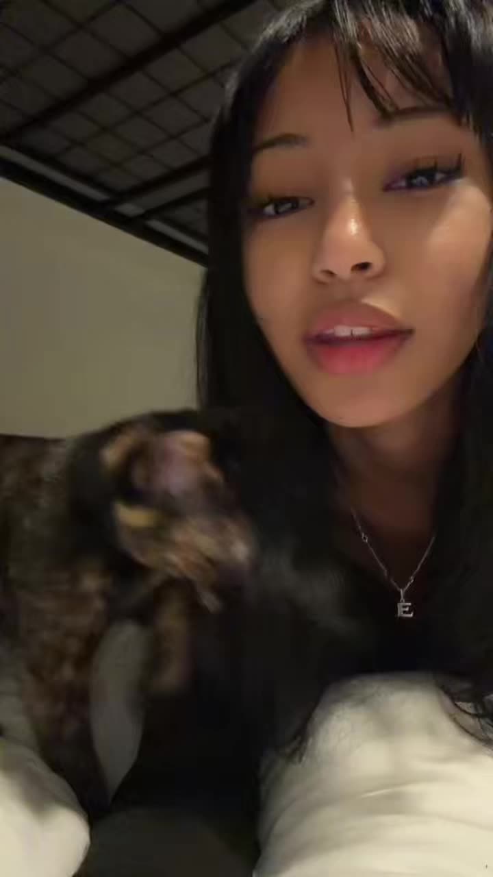 @🐈⬛