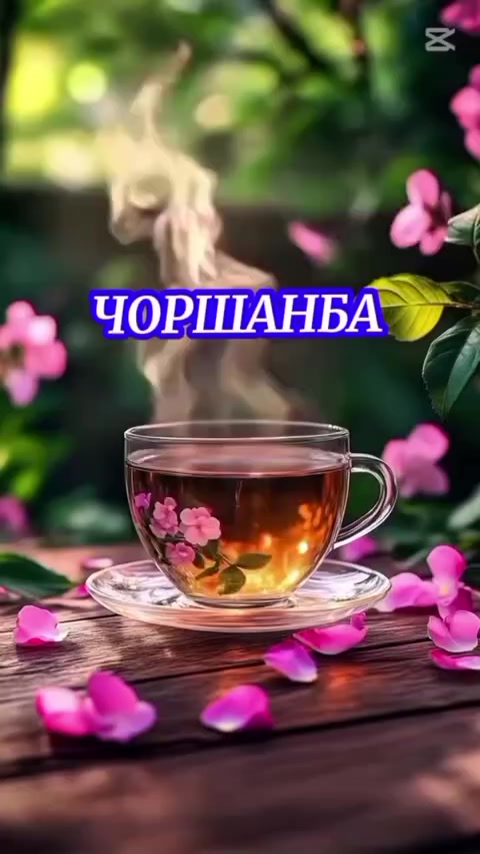 @саня саша