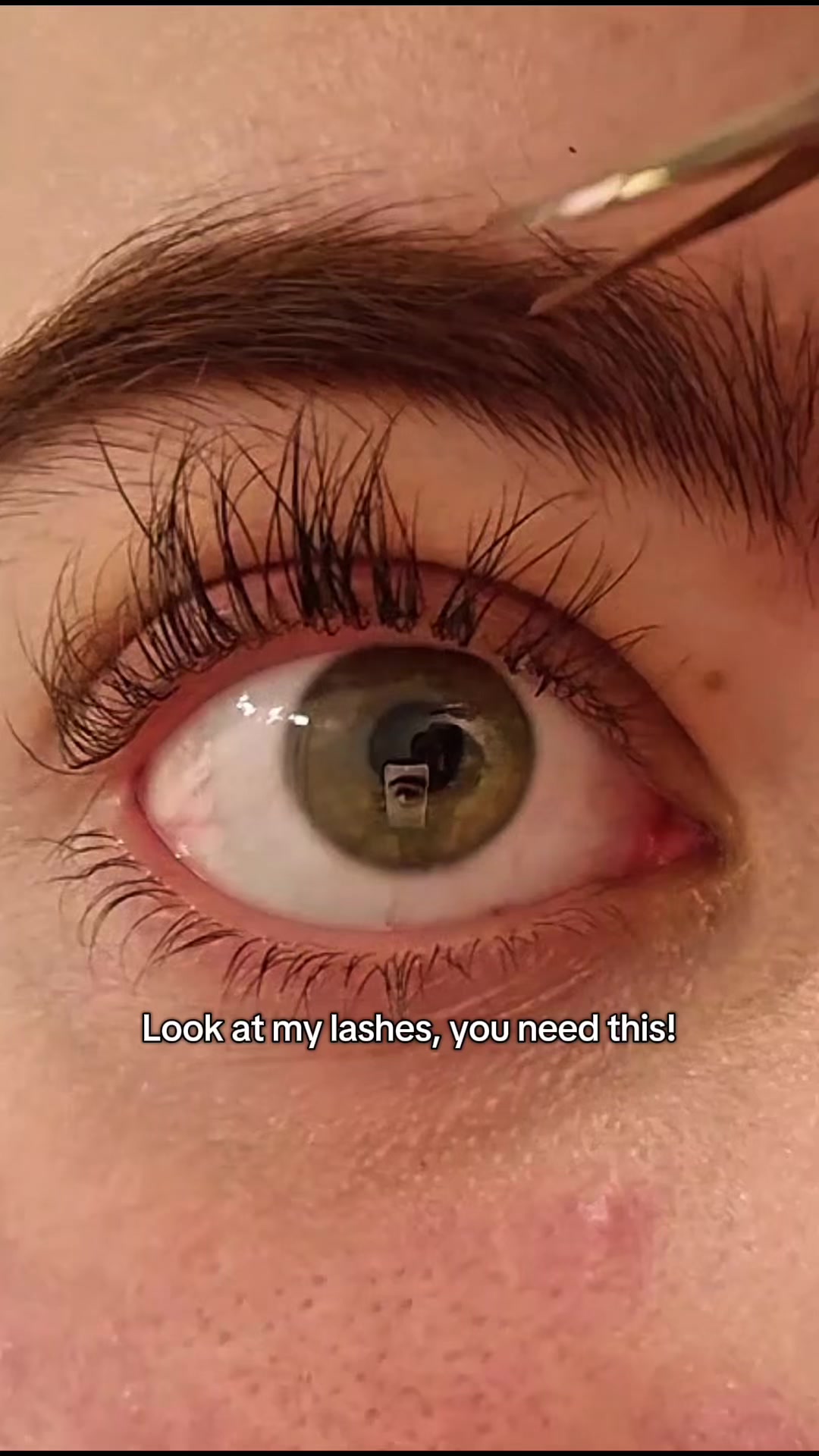 @Lash by Maya