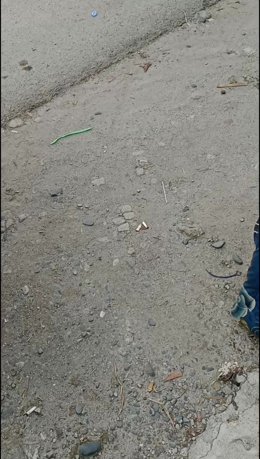 @ManiaGhoib