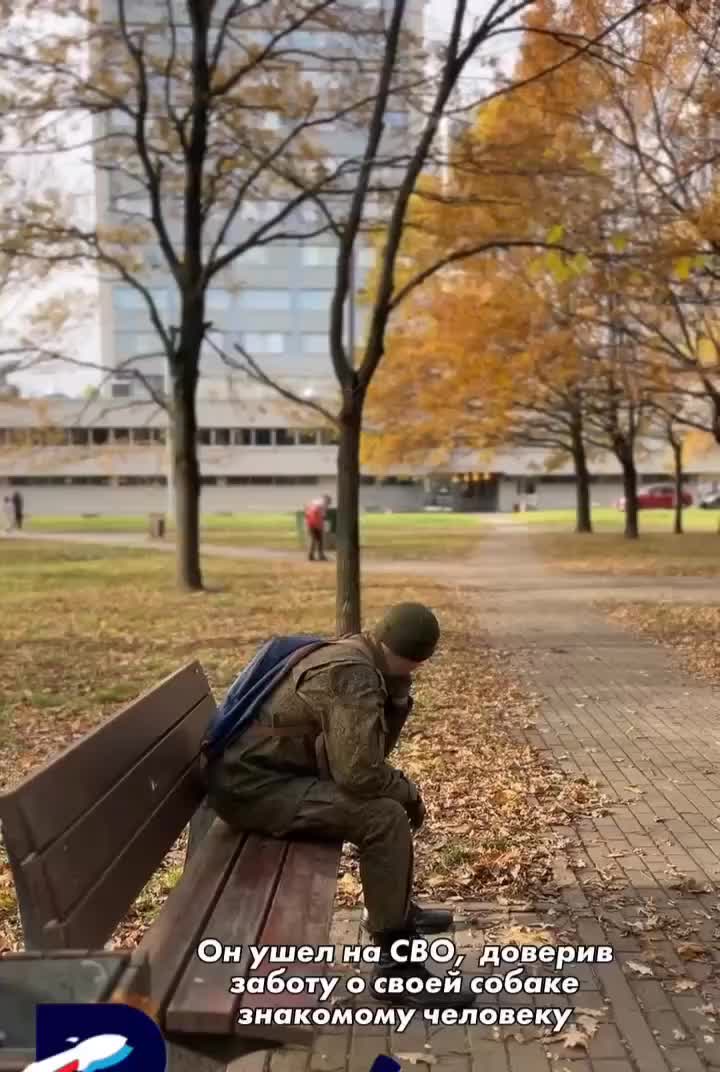 @alenaqweru