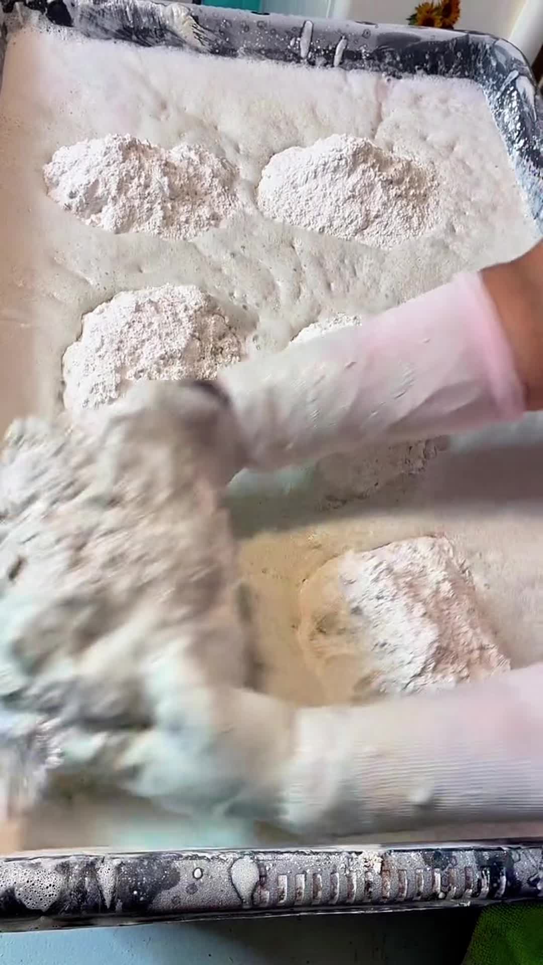 @shutdafoca