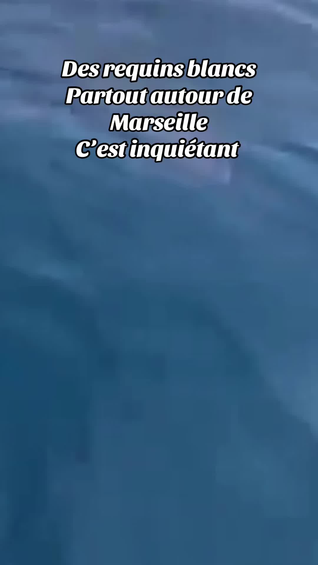 @Clips2Marseille
