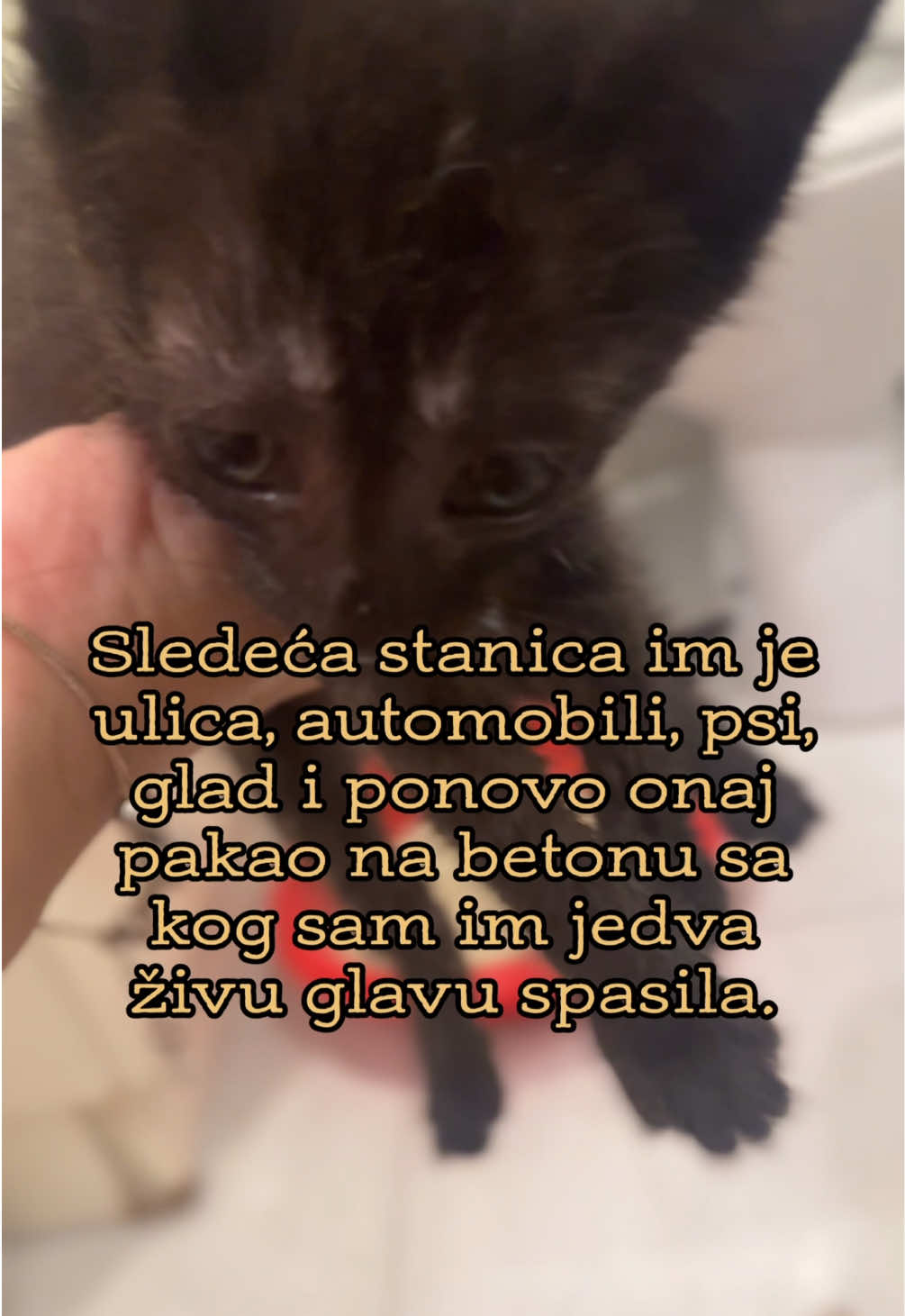 @cosanostrapurr
