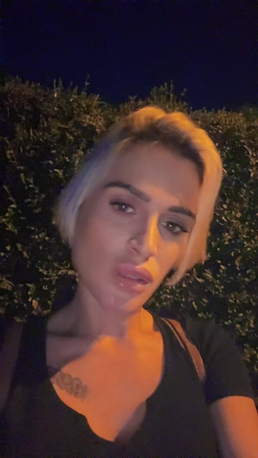 @Crazy Fox 🦊