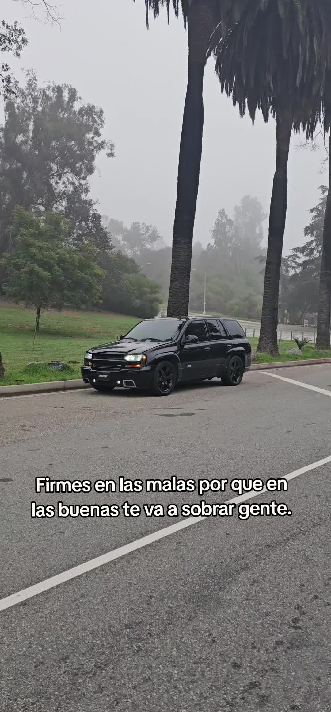 @tbss_isidro🦍