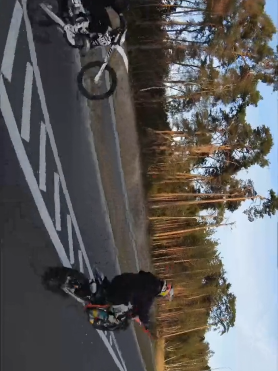 @MotoDroneMadness