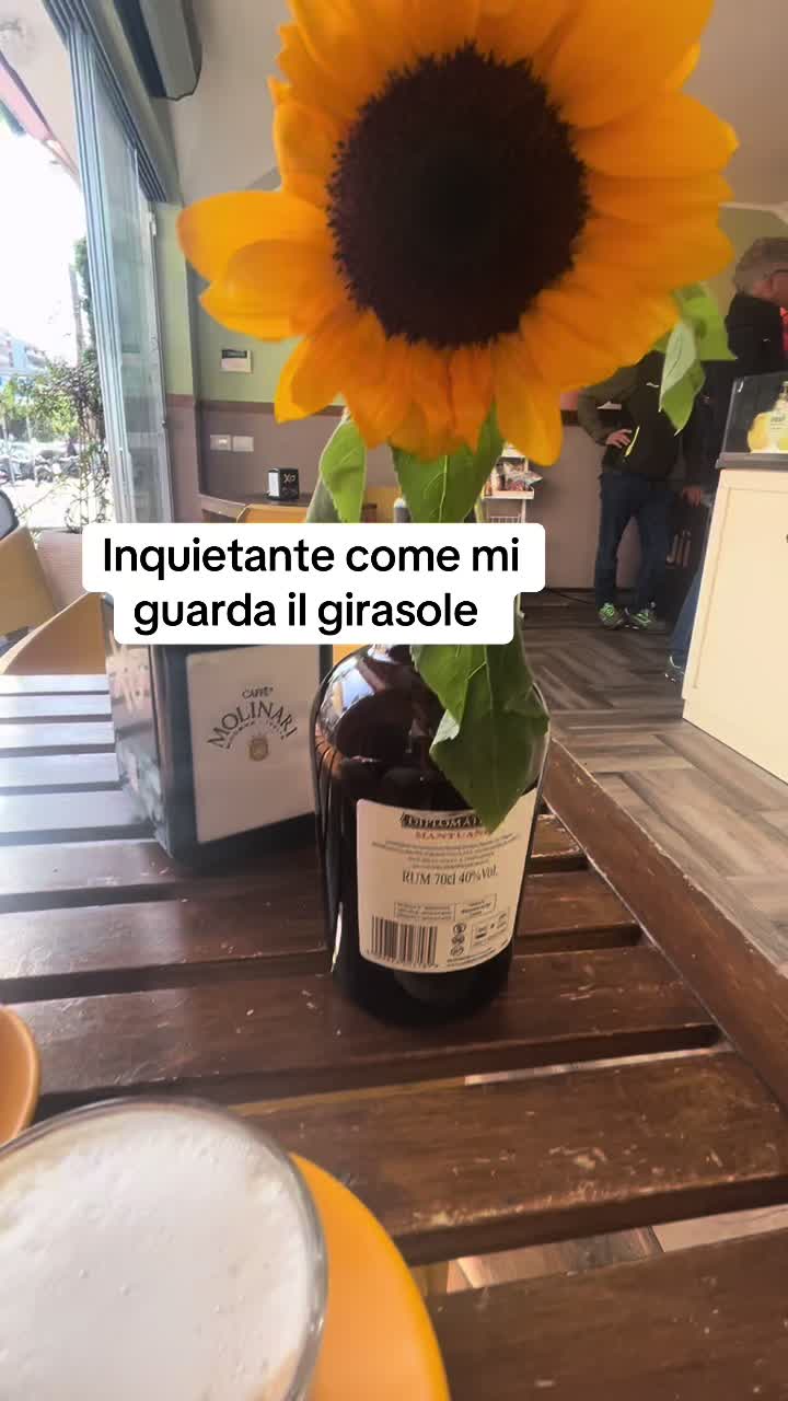 @Luna chiena