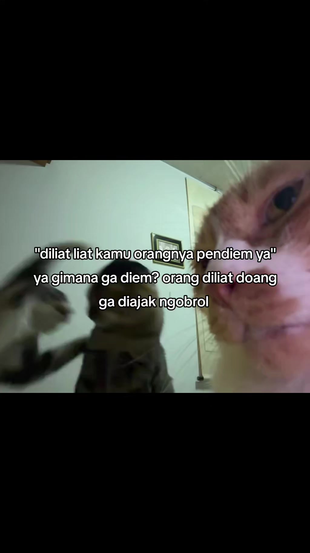 @iliyaas😹