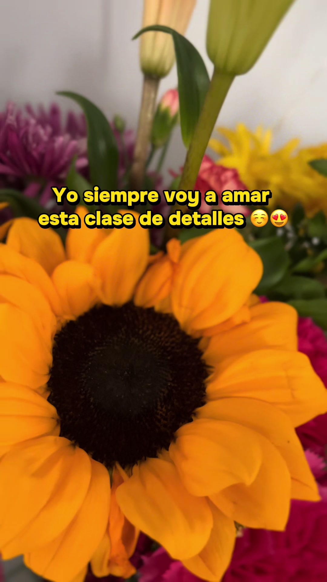 @Vanessa Diaz