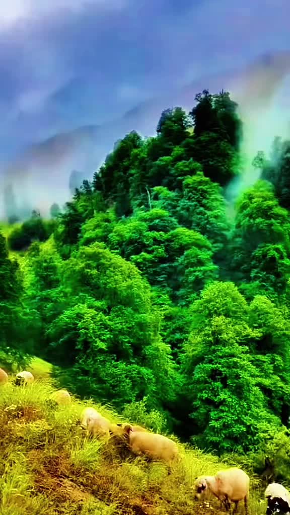 @🫀کـرمیــــوال زڑگــــو🫀