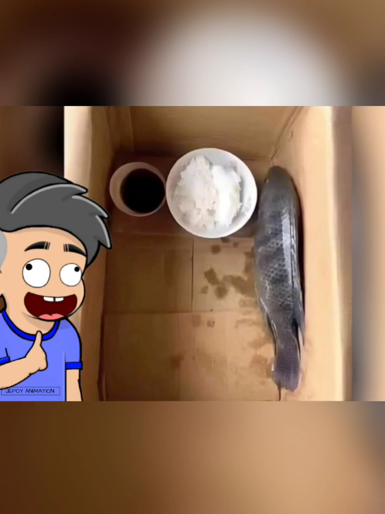@Jepoy Animation