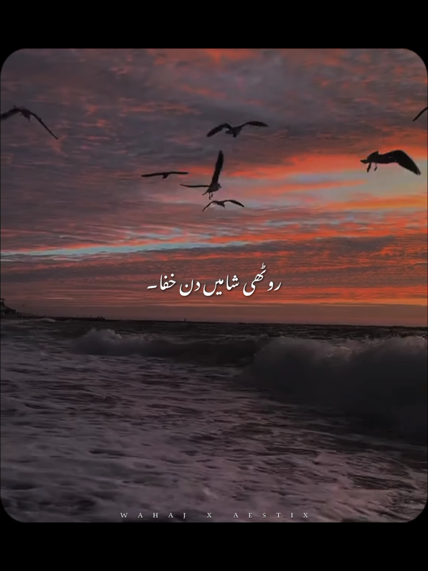 @𝙒 𝘼 𝙃 𝘼 𝙅 🕊️ &bull;