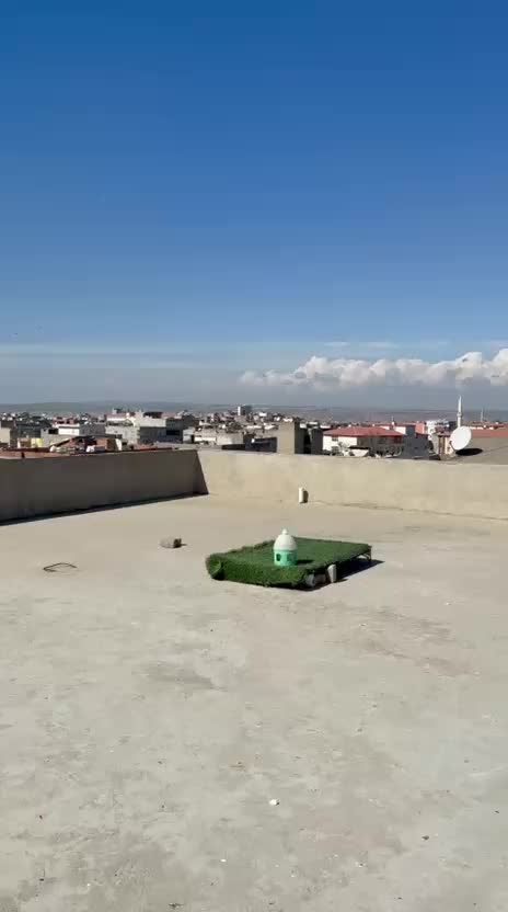 @Hakan Can3472🦅