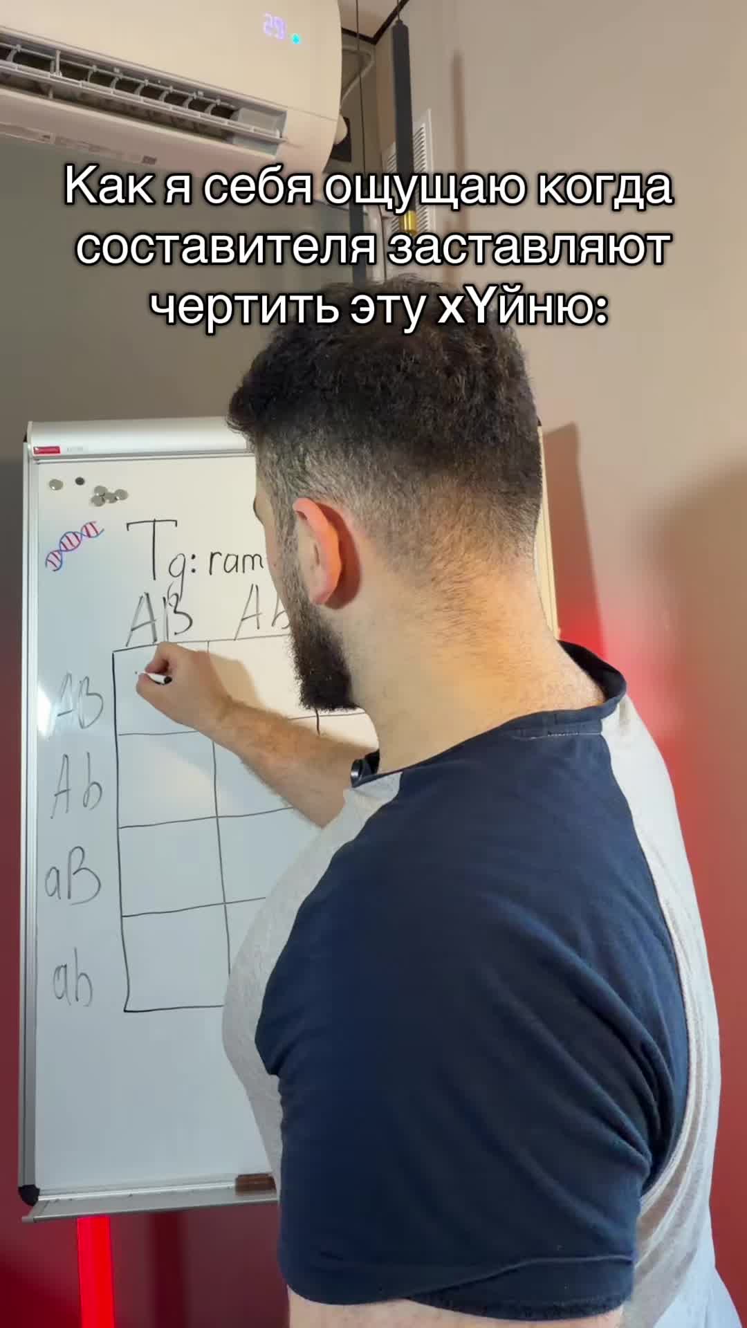 @Рамис Загиров | ЕГЭhub