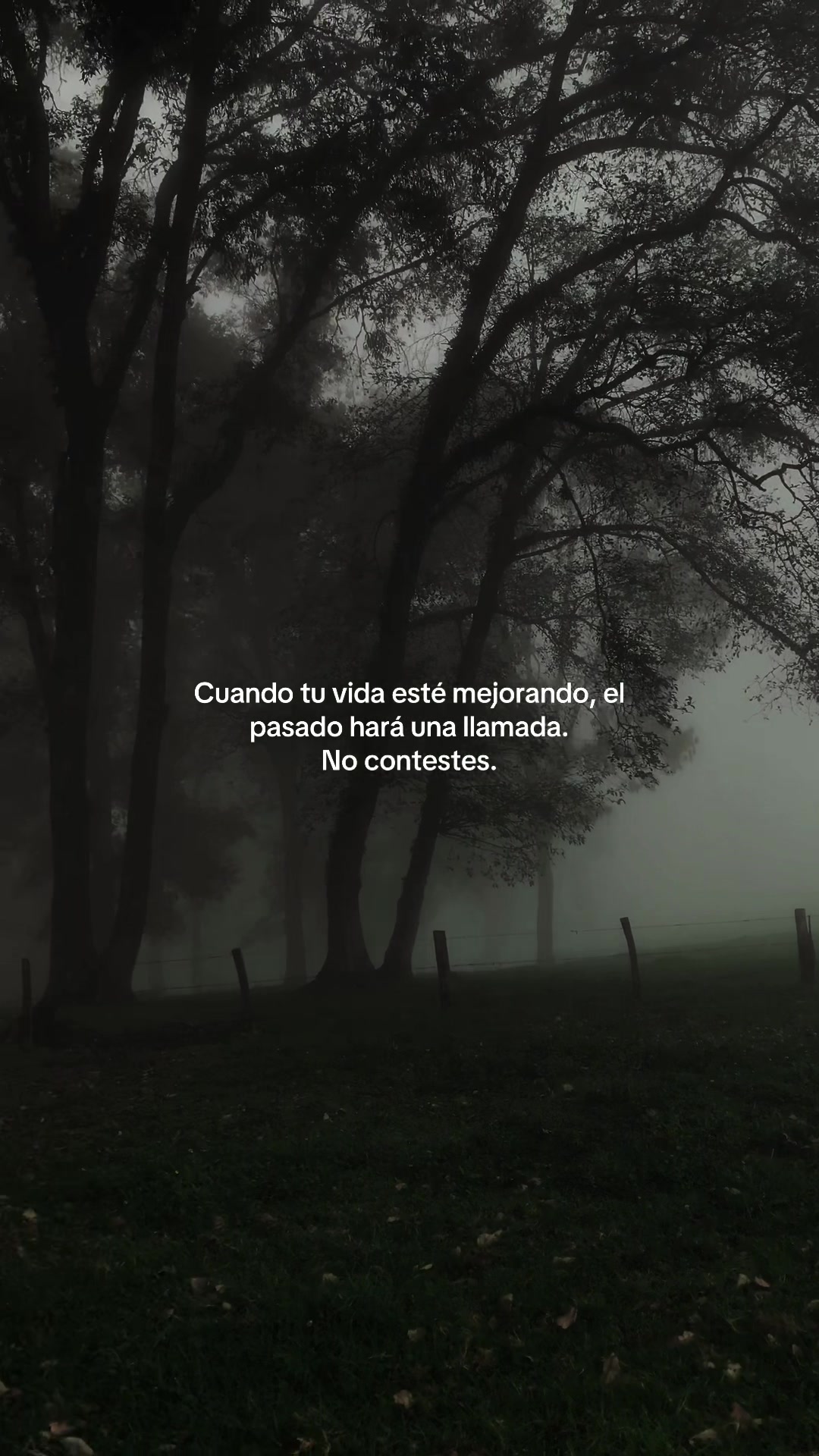 @markitos_mb1
