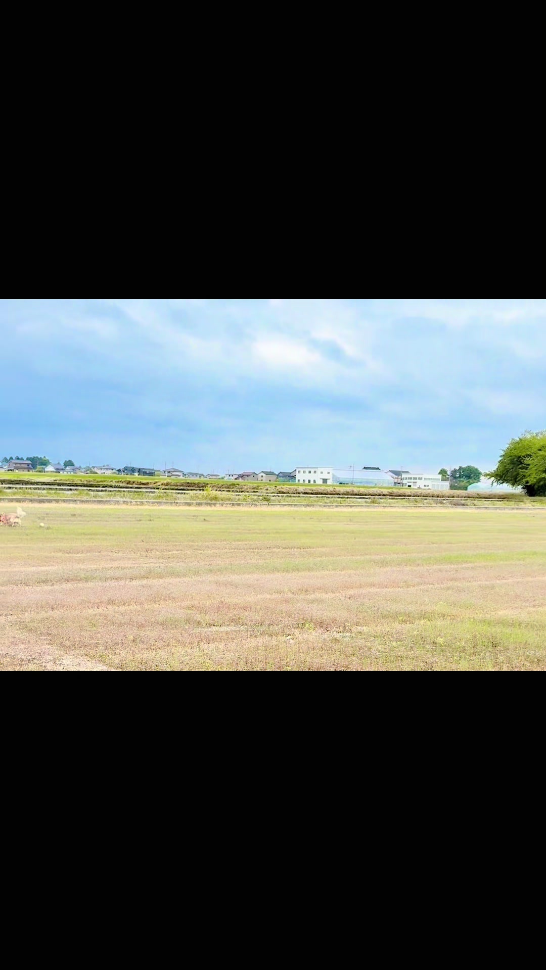 @きゃお