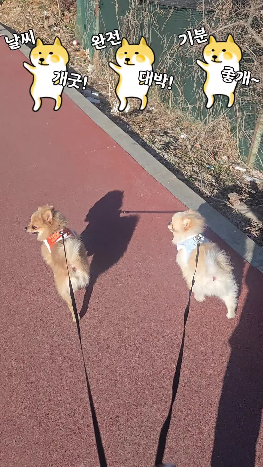 @쿠루마