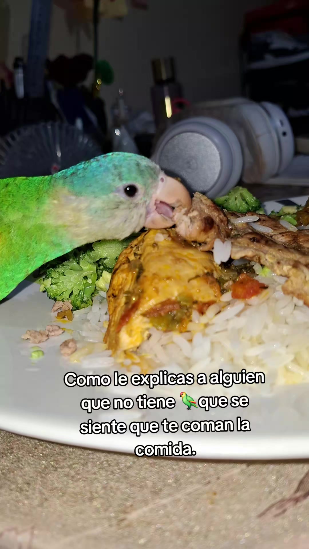 @𝓐𝓷𝓷𝓲💛