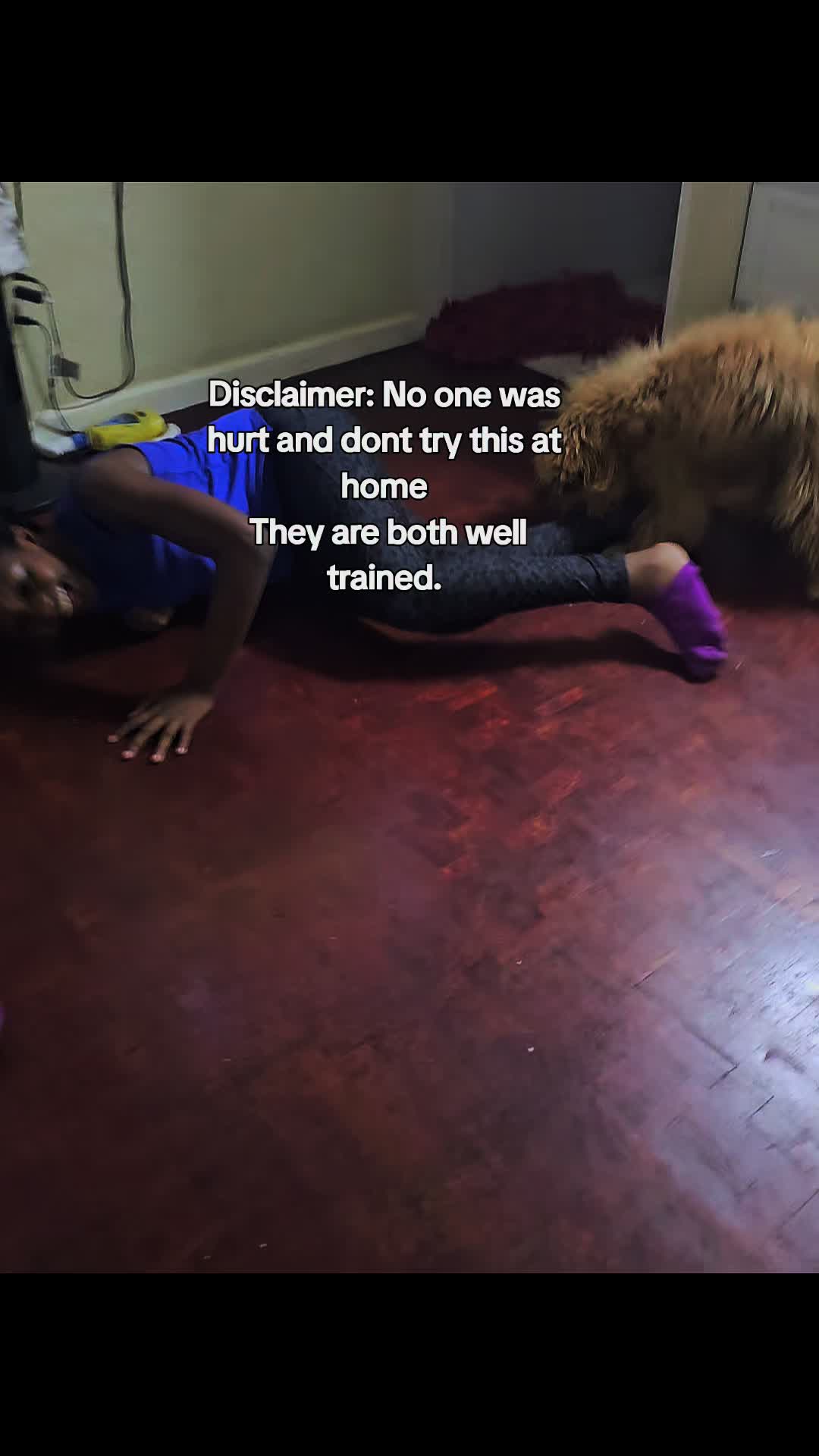 @MixedPetCollective