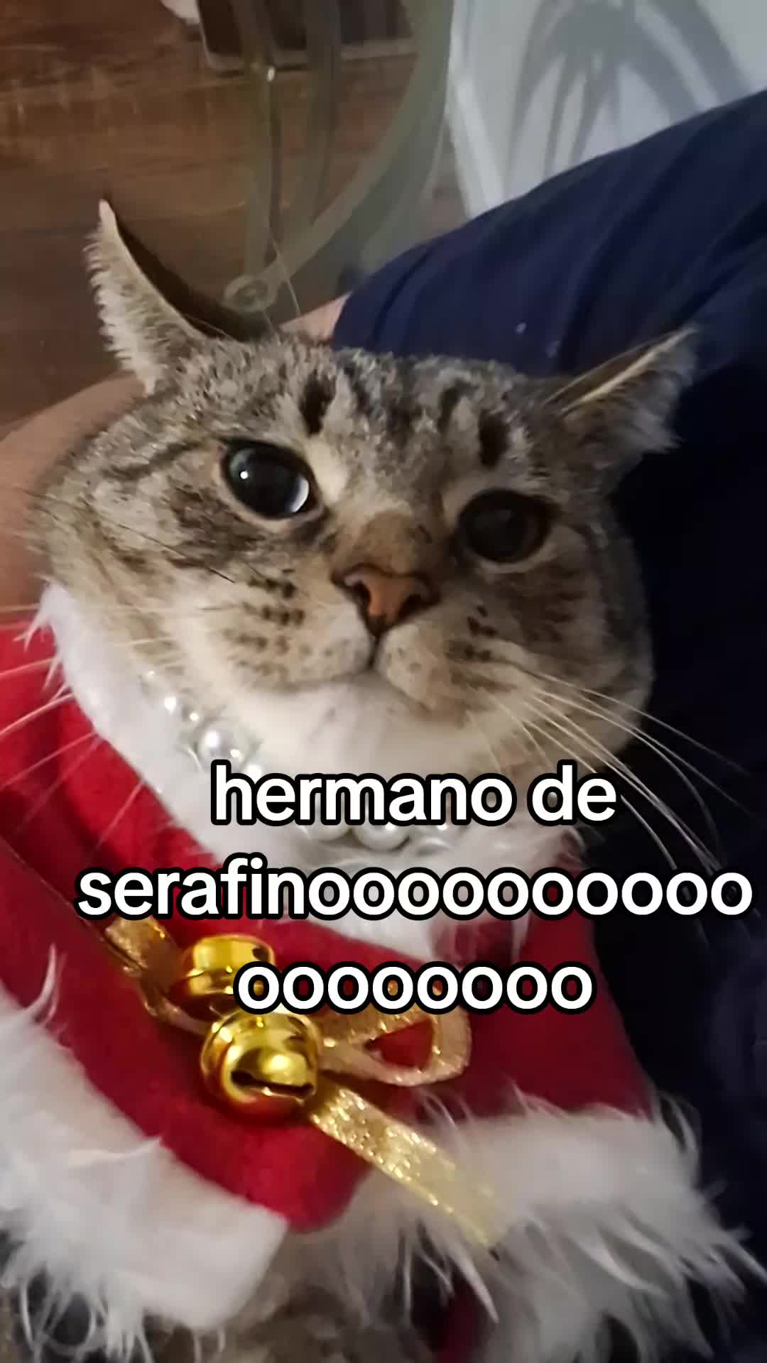 @Mamagatera20