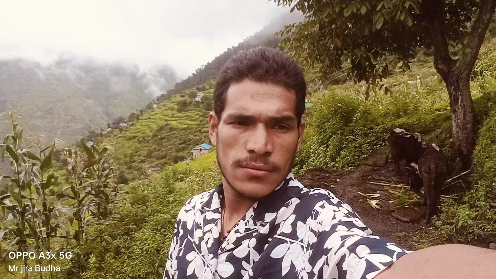 @♥️जामिरा +जिर बुढा ♥️🫂