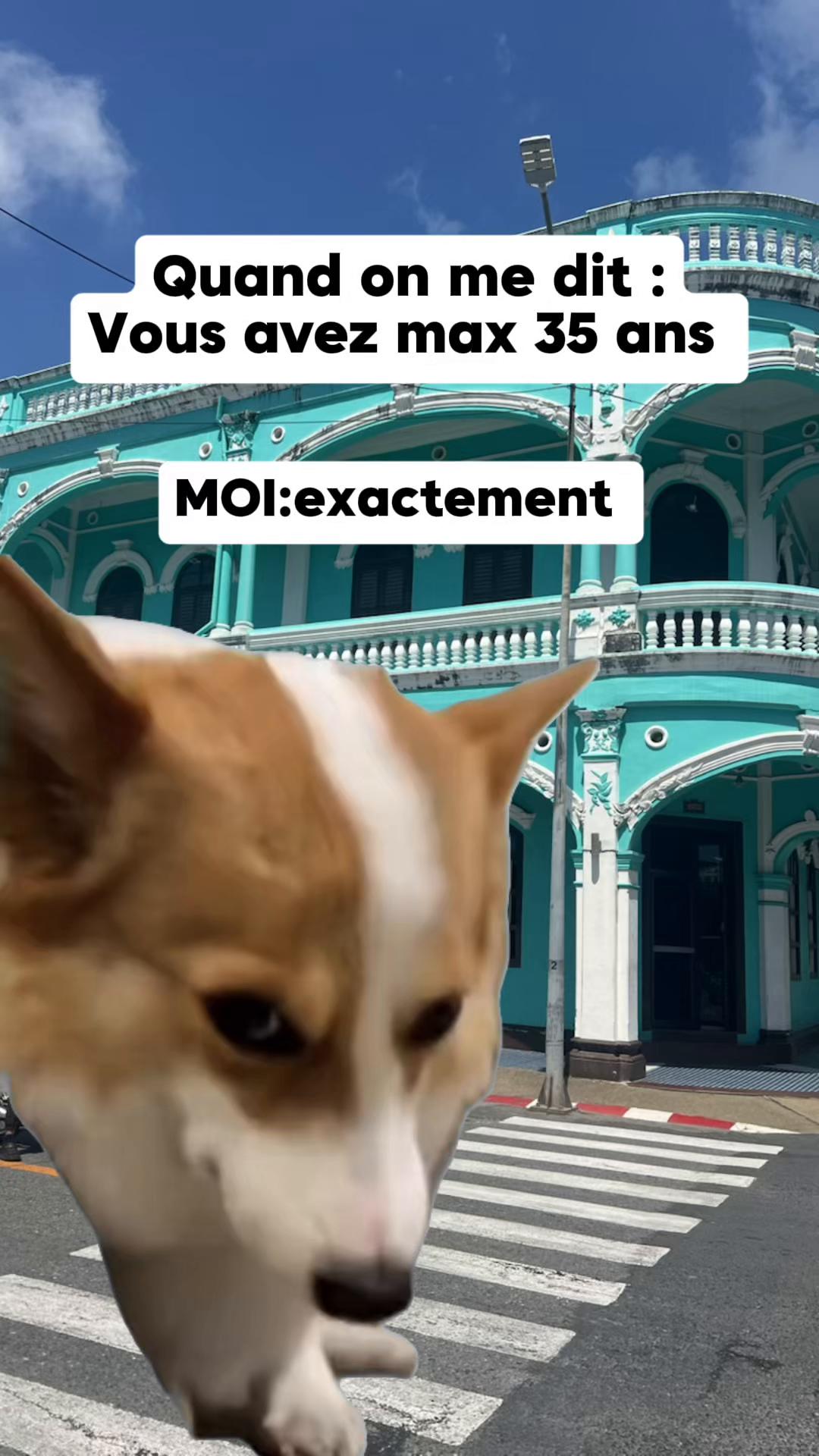 @Magou1981